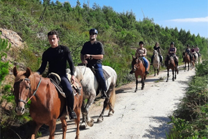 Black Horse Trails ride