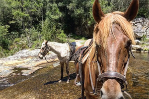 Black Horse Trails landscape