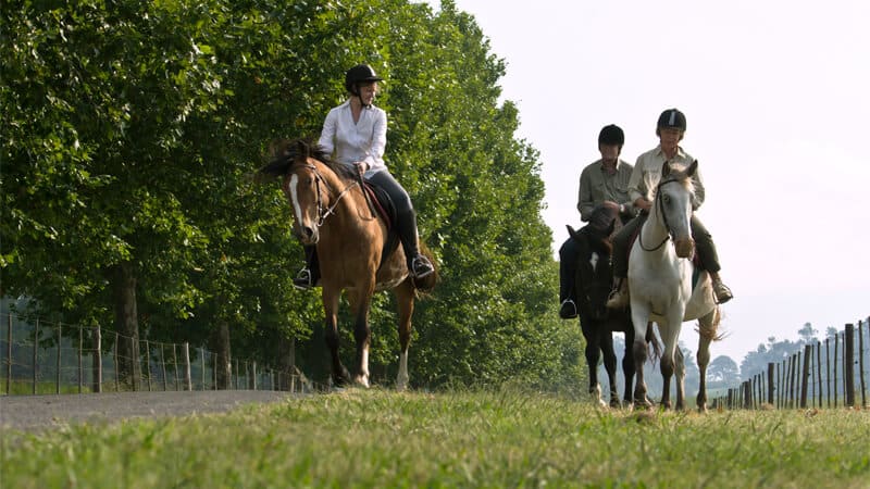 Black Horse Trails