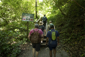 Half-Collared Kingfisher Trail scenic view