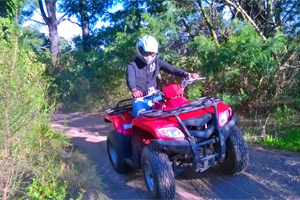 Group quad biking at Timberlake