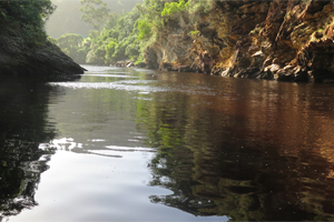 Canoeing on Touw River